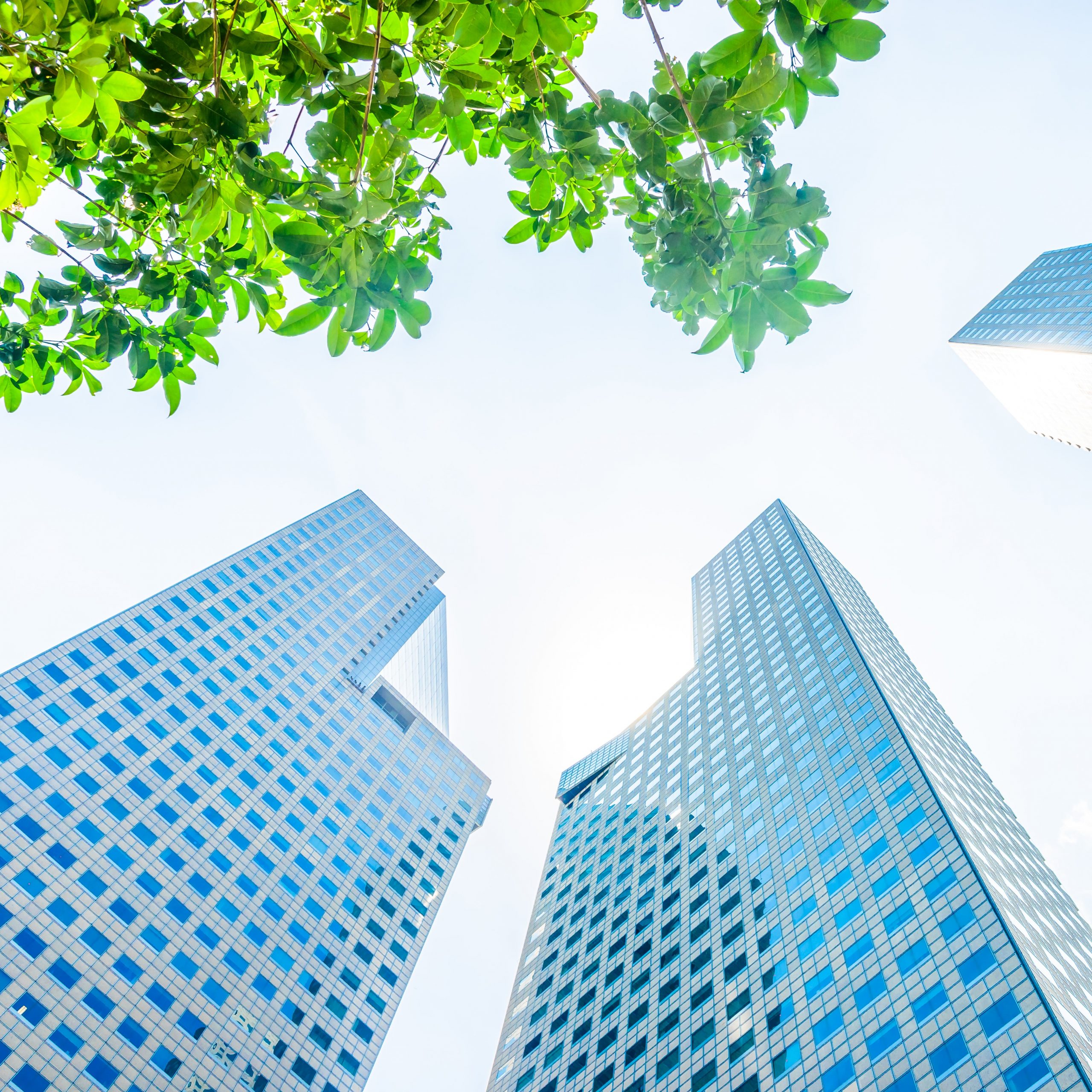 Pubblicata la UNI 11973: Il contributo degli edifici alla sostenibilità.